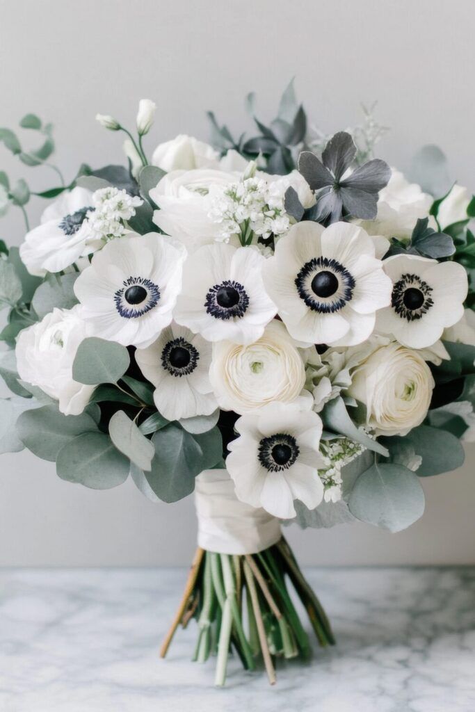 Anemone
