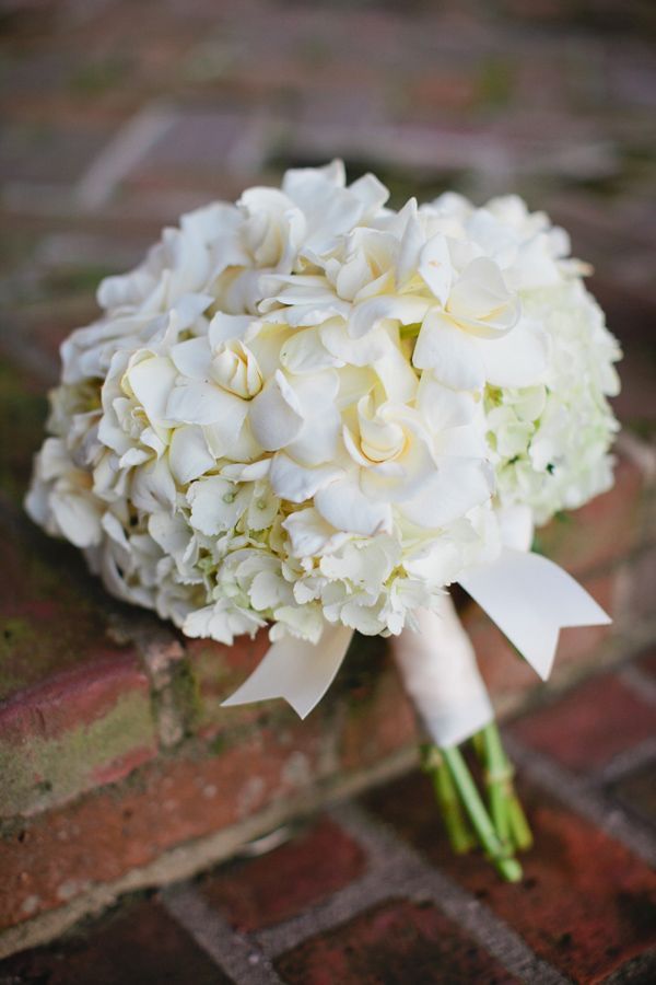 Gardenia
