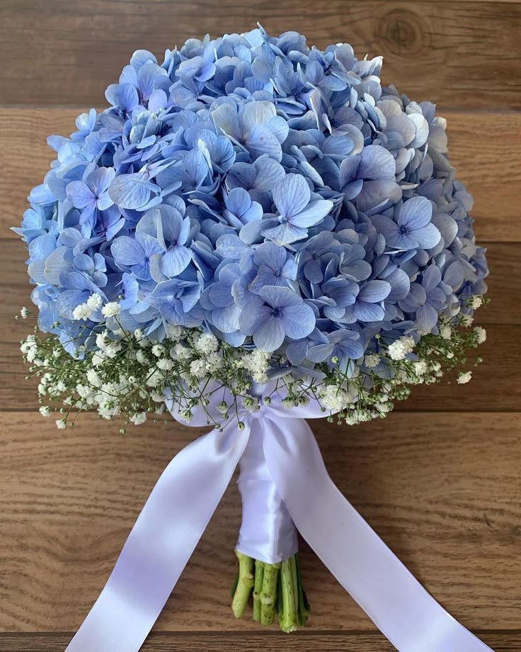 Hydrangea