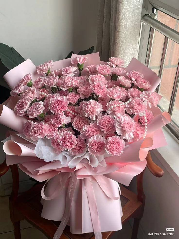 Pink Carnation