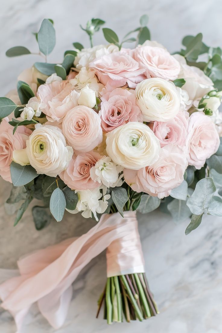 Pink Ranunculus